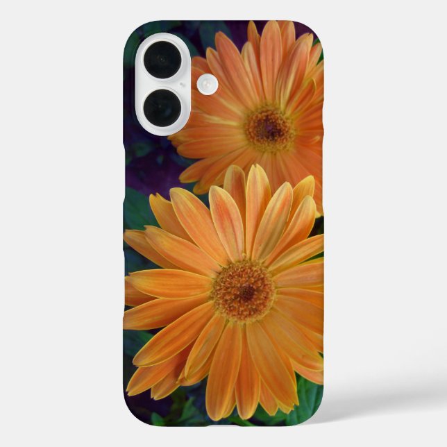 Orange Daisy Case-Mate iPhone Case (Back)