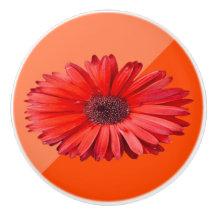 Orange Daisy Colorblock Ceramic