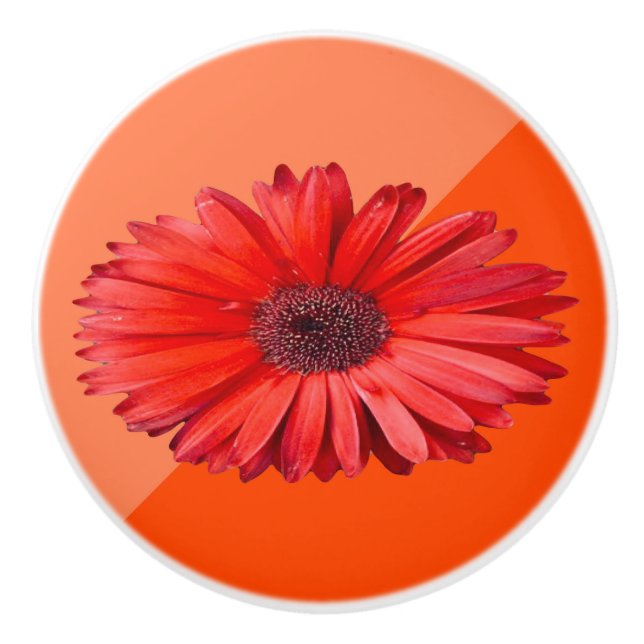 Orange Daisy Colorblock Ceramic  Knob (Front)