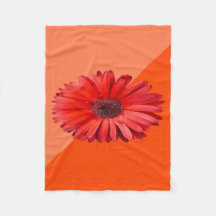 Orange Daisy Colorblock