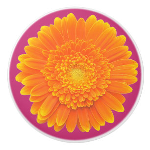 orange daisy door knob