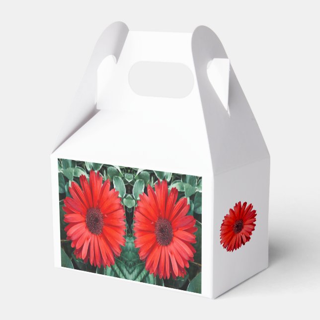 Orange Daisy Favour Box (Front Side)