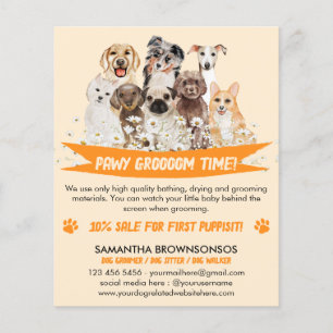 Orange Daisy Floral Design for Dog Groomers Flyer