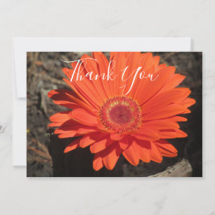 Orange Daisy Floral Photo Thank You Card