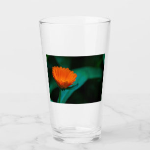 Orange daisy flower glass