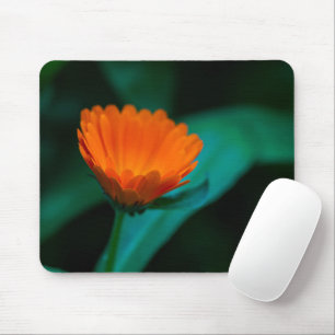 Orange daisy flower mouse mat