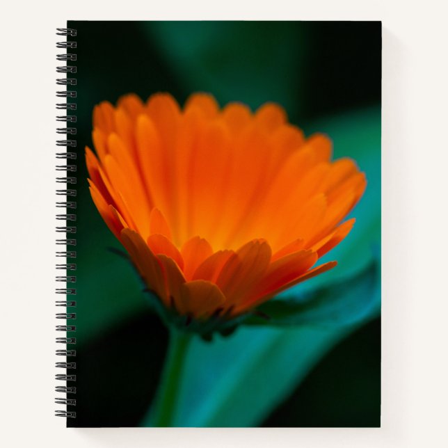Orange daisy flower notebook (Front)