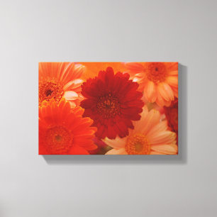 Orange Daisy Flower Photo Canvas Wall Art Print