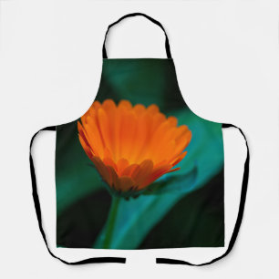 Orange Daisy Flower Photograph Apron