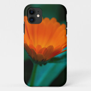 Orange Daisy Flower Photograph iPhone 11 Case
