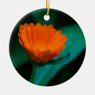 Orange Daisy Flower Photograph Ceramic Tree Decoration