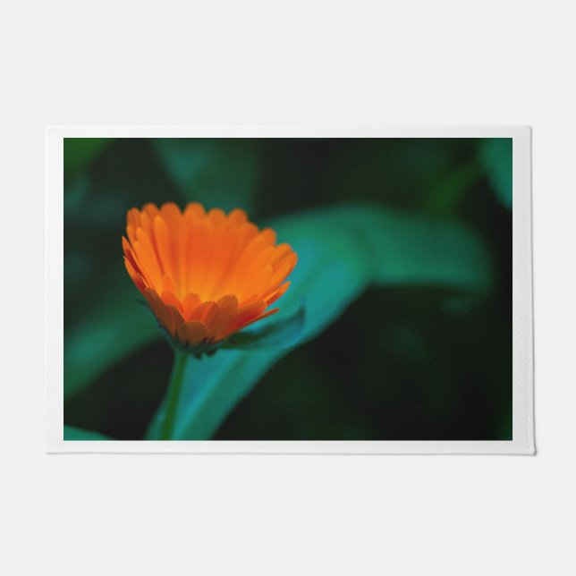 Orange Daisy Flower Photograph Doormat (Front)