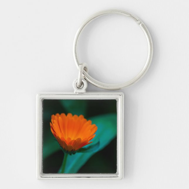 Orange Daisy Flower Photograph Key Ring (Front)