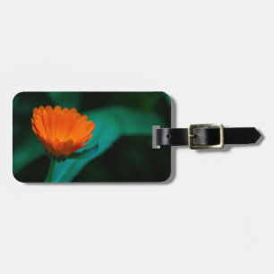 Orange Daisy Flower Photograph Luggage Tag