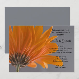 Orange Daisy Grey Post Wedding Brunch Invitation