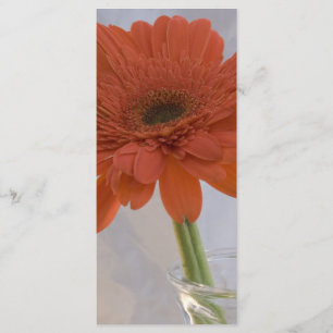 Orange Daisy in Vase Wedding Program Programme