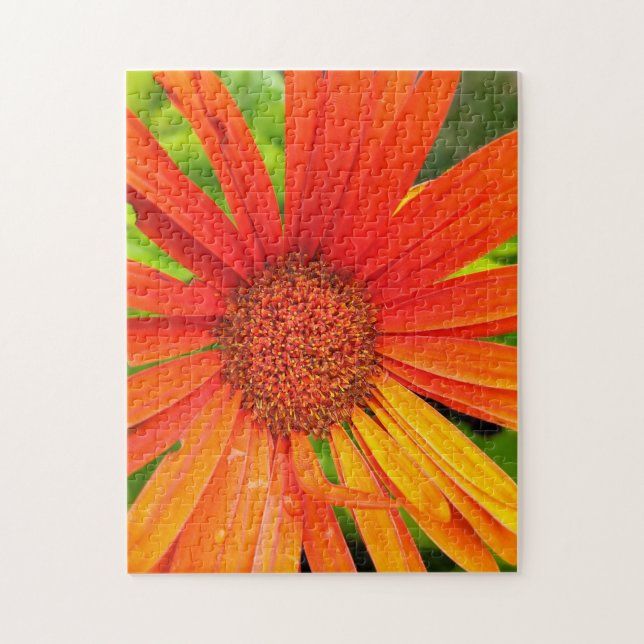 Orange Daisy Jigsaw Puzzle (Vertical)