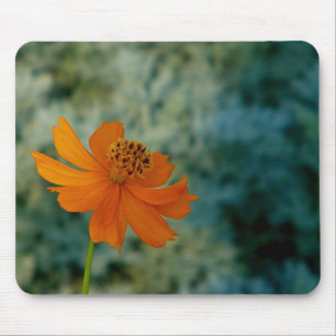 Orange Daisy  Mouse Mat