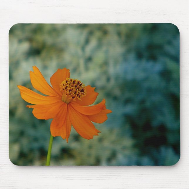 Orange Daisy  Mouse Mat (Front)