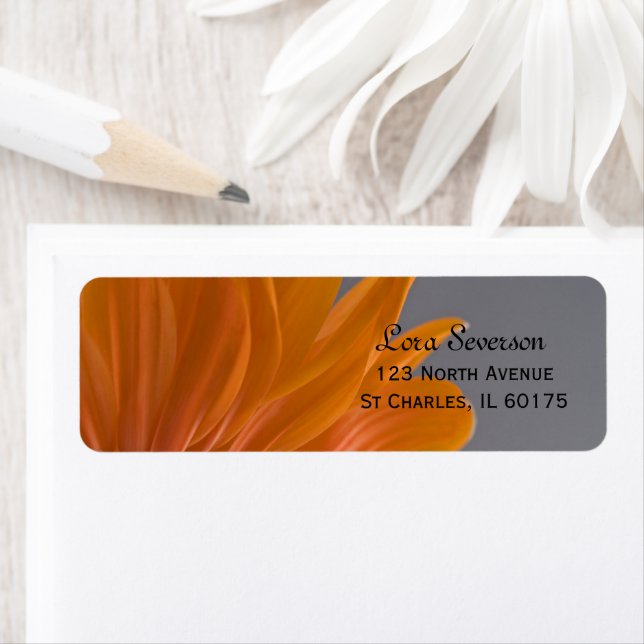 Orange Daisy on Grey Return Address (Insitu)