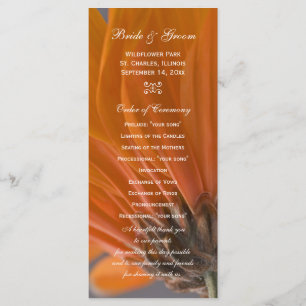 Orange Daisy on Grey Wedding Program Programme