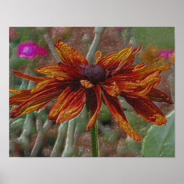 Orange Daisy Pencil Flower Art Poster (Front)