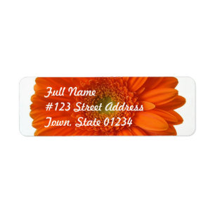 Orange Daisy Return Address Mailing Label