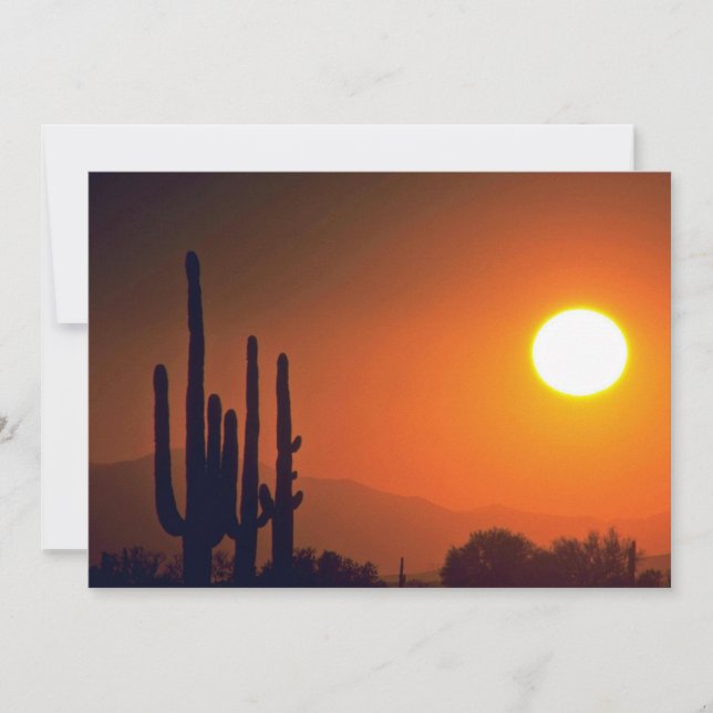 Orange Dark Evening (Front)