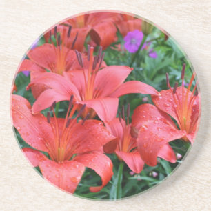 Orange Day Lilies Floral Coaster