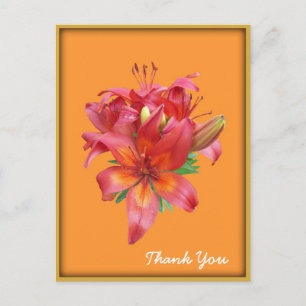 Orange Day Lily Flower Postcard