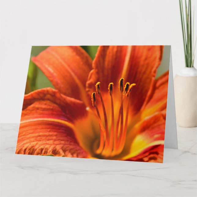 Orange Day Lily Notecard (Front)