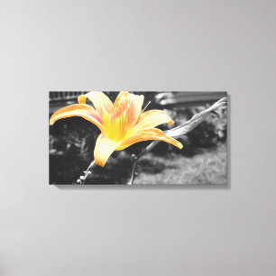 Orange Day Lily Picture Canvas Print