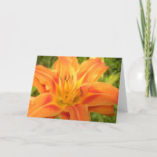 Orange Day Lily To Brighten Your World Card
