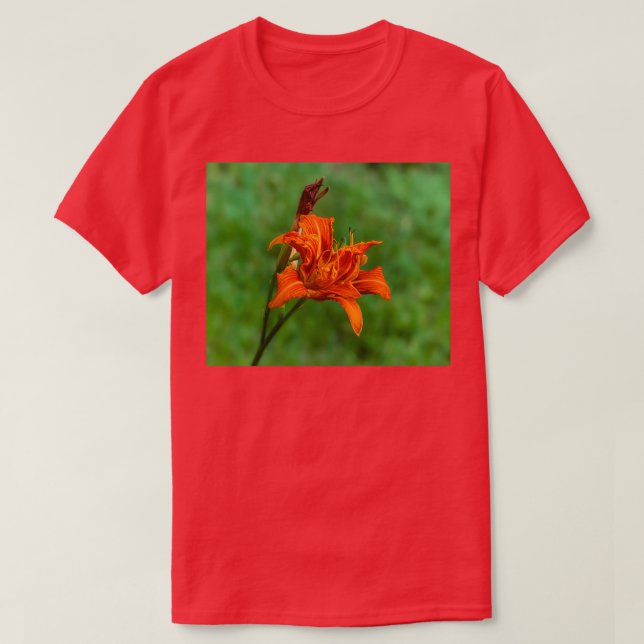Orange Daylily 2 T-Shirt (Design Front)