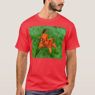 Orange Daylily 2 T-Shirt
