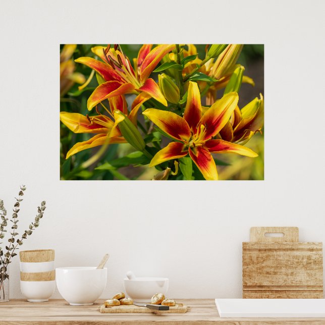 Orange Daylily Art, Canadian Photography Poster (Kitchen)
