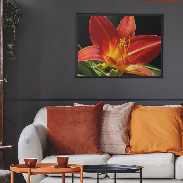 Orange Daylily Bloom Floral Photographic Poster (In Situ Framed)