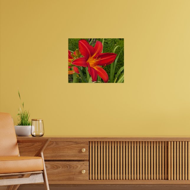 Orange Daylily Bloom Floral Poster (Living Room 2)