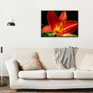 Orange Daylily Bloom Photo Glossy Poster