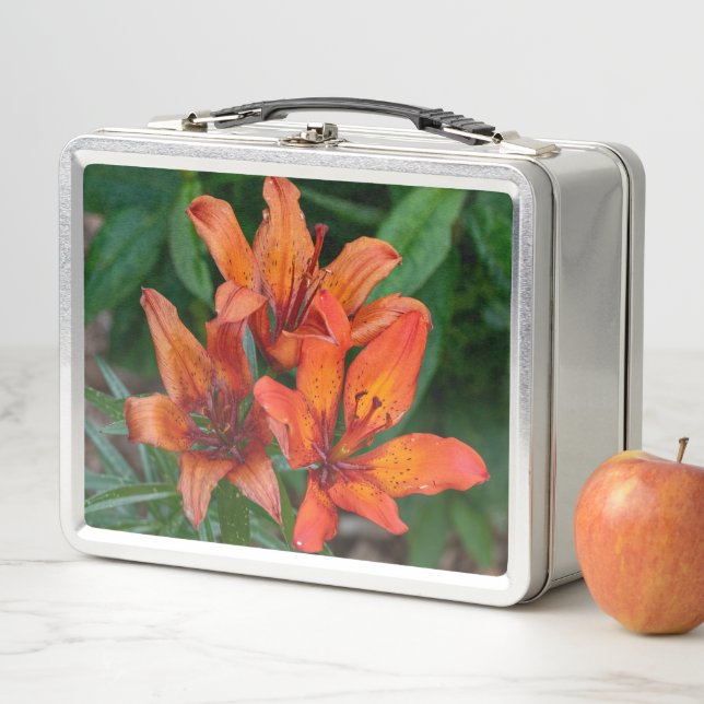 Orange Daylily Canadian Flower Photography Metal Lunch Box (In Situ)