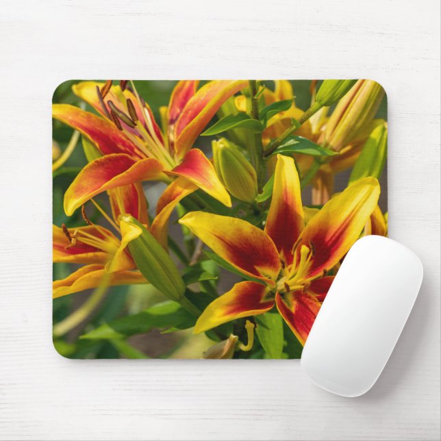 Orange Daylily Canadian Flower Photography Mouse Mat (With Mouse)