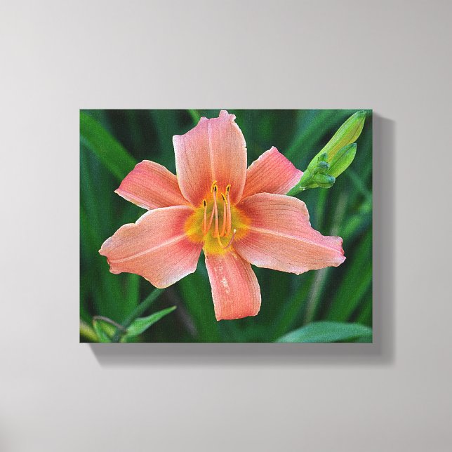 Orange Daylily Canvas (Front)