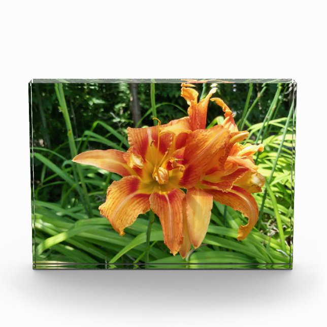 Orange Daylily Flowers Horizontal Photo Block (Front)