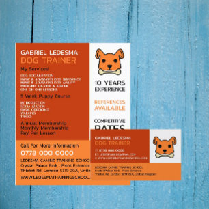 Orange Dog, Dog Trainer Advertising Flyer