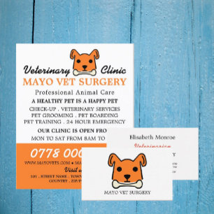 Orange Dog, Veterinarian, Veterinary Service Flyer