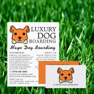 Orange Dog with Bone, Dog Boarding, Advertising Flyer