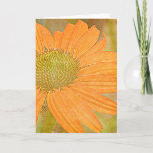 Orange Echinacea Art Customisable Card