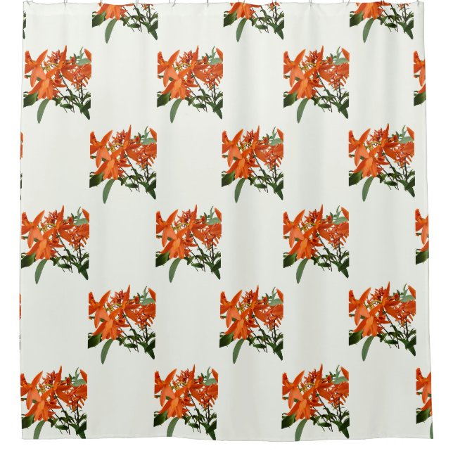 Orange Epidendrum Orchid Shower Curtain (Front)