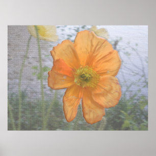 Orange Essence Poster