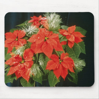 Orange Euphorbia Pulcherrima 'Dark Red' (Poinsetti Mouse Mat